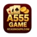 A555 Game