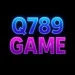 Q789 Game