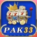 PAK33 Game