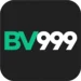 BV999 Game