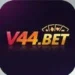 V44 Game