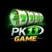 PK11 Game