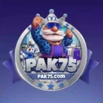 PAK75 Game
