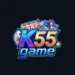 K55 Game